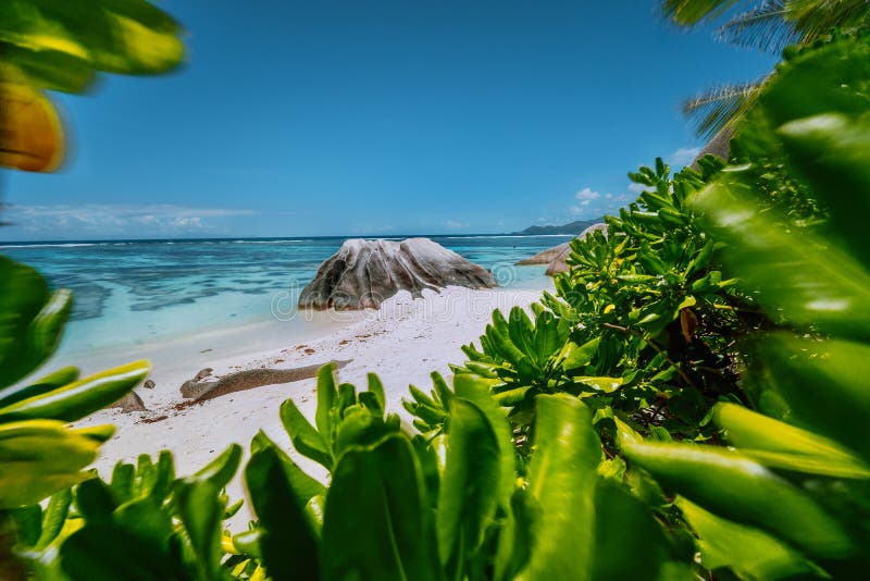 Anse Source d&#x27;Argent beach - beautifully shaped granite boulder framed by green leaves, La Digue island, Seychelles. Anse Source d&#x27;Argent beach - beautifully shaped granite boulder framed by green leaves, La Digue island, Seychelles.