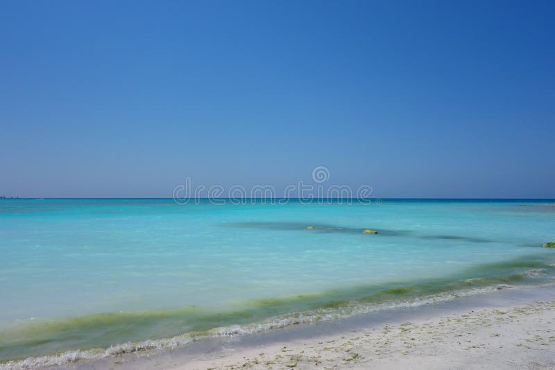 Spiaggia Bianca Tradução De Praia Branca Em Vada Rosignano Imagem