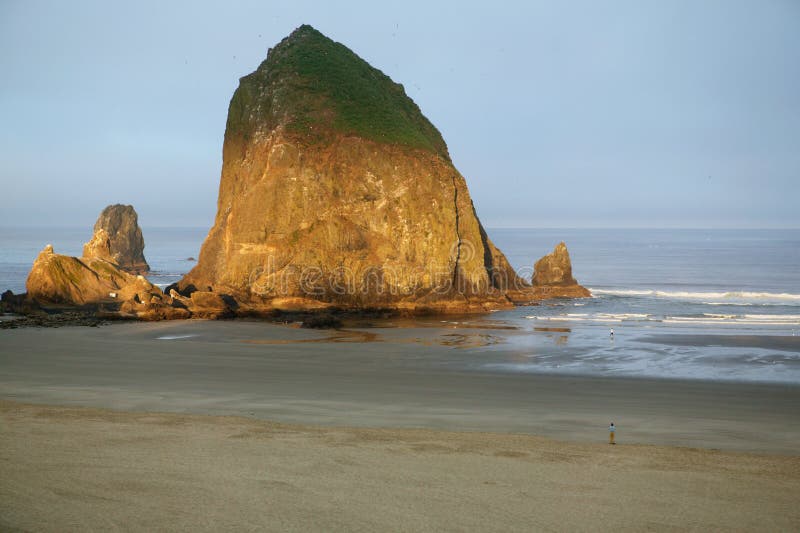 First light just hitting Haystack Rock at Cannon Beach, Oregon. This is a nine-mile wide sandy beach, that features Haystack Rock, the third largest coastal monolith in the world, at 235 feet high. Haystack Rock has been designated as a marine and bird sanctuary. The tidepools around the rock have many intertidal animals in them, including limpets, barnacles, starfish, crabs, sea sculpins and anemones. Several bird species nest on the rock in the summer. The most colorful of these is the Tufted Puffin. First light just hitting Haystack Rock at Cannon Beach, Oregon. This is a nine-mile wide sandy beach, that features Haystack Rock, the third largest coastal monolith in the world, at 235 feet high. Haystack Rock has been designated as a marine and bird sanctuary. The tidepools around the rock have many intertidal animals in them, including limpets, barnacles, starfish, crabs, sea sculpins and anemones. Several bird species nest on the rock in the summer. The most colorful of these is the Tufted Puffin.