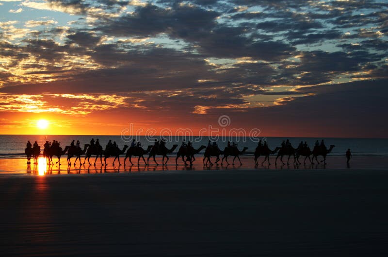 Spiaggia del cavo di tramonto di giro del cammello fotografie stock libere da diritti Spiaggia del cavo di tramonto di giro del cammello fotografie stock libere da diritti
