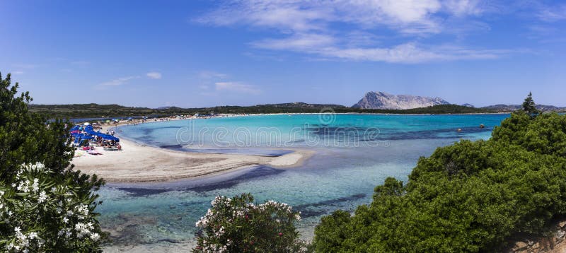 Spiaggia Di Lu Impostu Con Isola Travolara Nei Precedenti