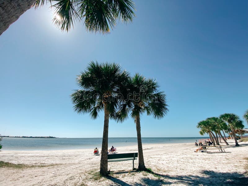 spiaggia di palma della Florida