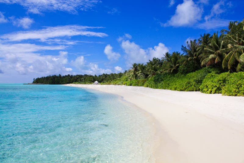 Spiaggia di Sandy con le palme dei MALDIVES