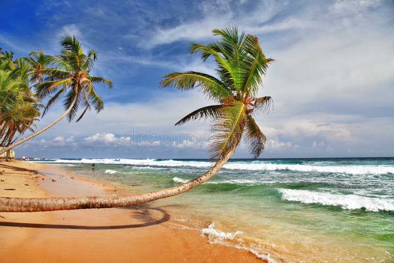 Spiaggia di Sri lanka fotografia stock libera da diritti Spiaggia di Sri lanka fotografia stock libera da diritti
