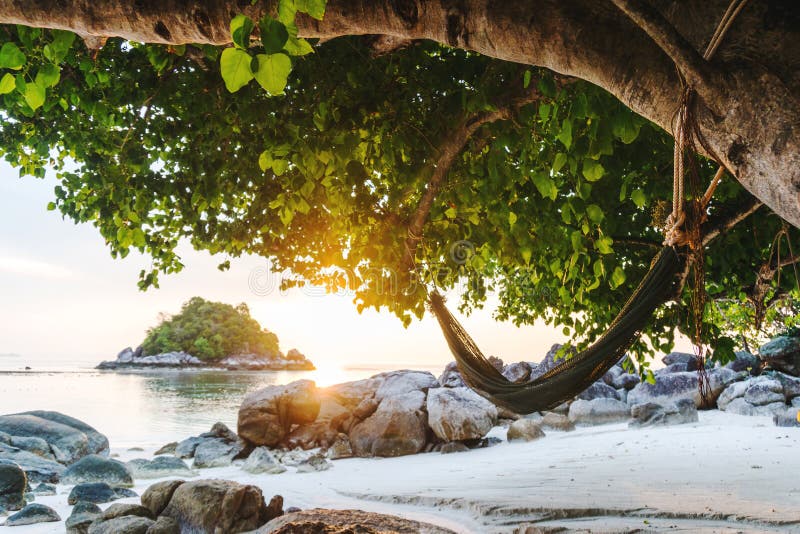Spiaggia e amaca tropicali nello svago di estate e nel concetto di rilassamento fotografia stock libera da diritti Spiaggia e amaca tropicali nello svago di estate e nel concetto di rilassamento fotografia stock libera da diritti