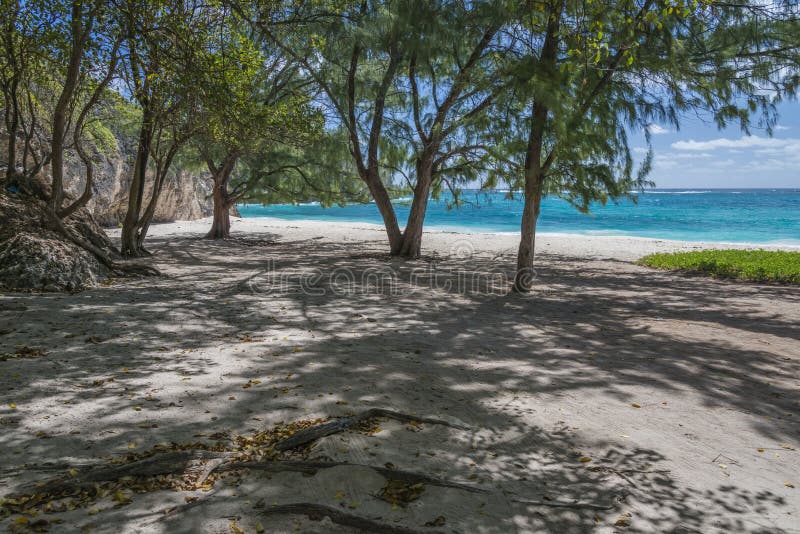 Spiaggia isolata alla baia ripugnante, Barbados, le Antille