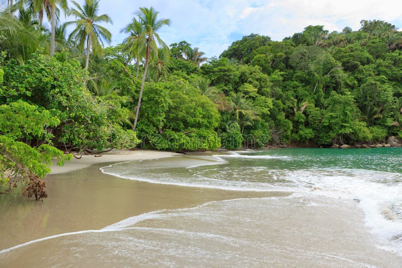 Spiaggia Manuel Antonio Costa Rica fotografia stock libera da diritti Spiaggia Manuel Antonio Costa Rica fotografia stock libera da diritti