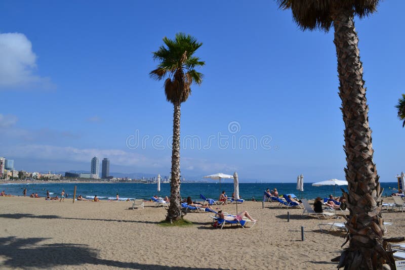 Spiaggia Mediterranea La Playa de la Barceloneta - Barcellona Spagna immagini stock Spiaggia Mediterranea La Playa de la Barceloneta - Barcellona Spagna immagini stock