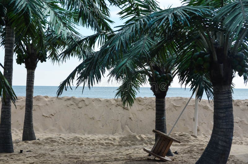 Spiaggia tropicale con le palme immagini stock libere da diritti Spiaggia tropicale con le palme immagini stock libere da diritti