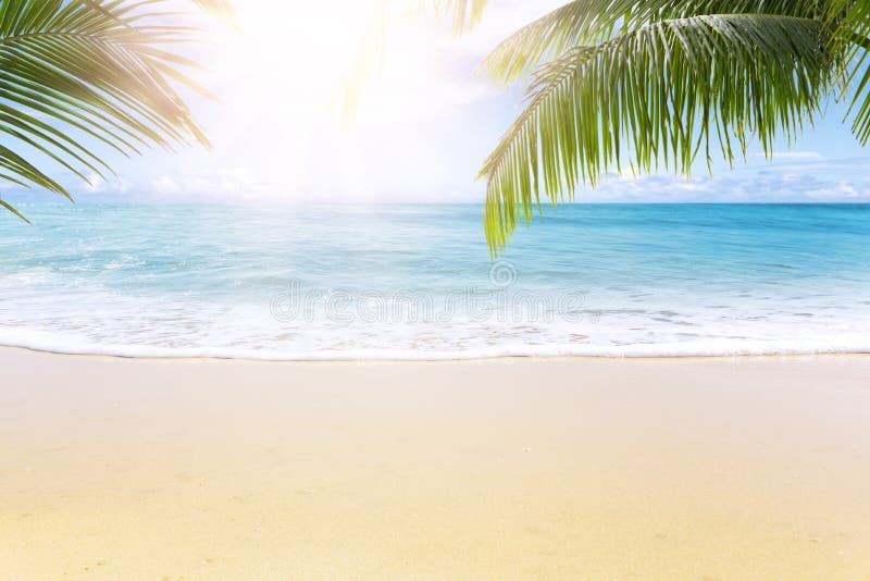 Spiaggia tropicale soleggiata con le palme fotografie stock libere da diritti Spiaggia tropicale soleggiata con le palme fotografie stock libere da diritti