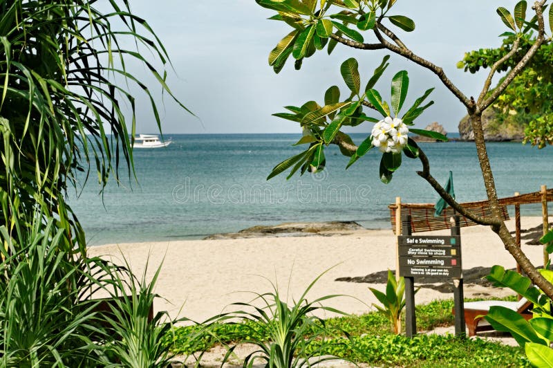 Spiaggia tropicale in Tailandia fotografie stock Spiaggia tropicale in Tailandia fotografie stock