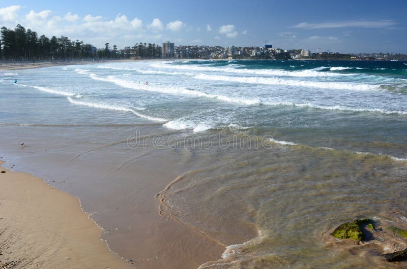 Spiaggia virile sydney Il Nuovo Galles del Sud l'australia fotografie stock libere da diritti Spiaggia virile sydney Il Nuovo Galles del Sud l'australia fotografie stock libere da diritti