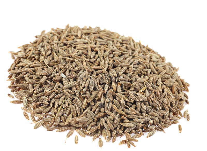 Spice caraway stock photo. Image of herb, caraway, seed 10819916