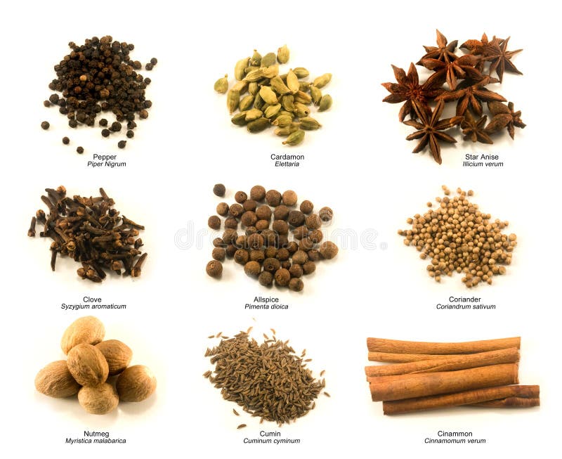 Health Benefits Of Spices Chart