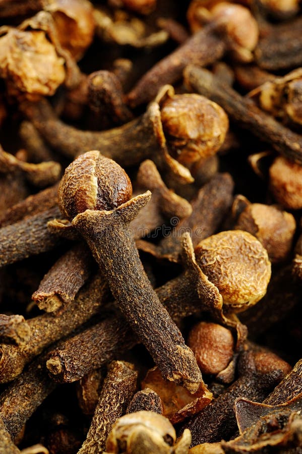 Cloves herb stock photo. Image of cooking, vegetarian 45694764