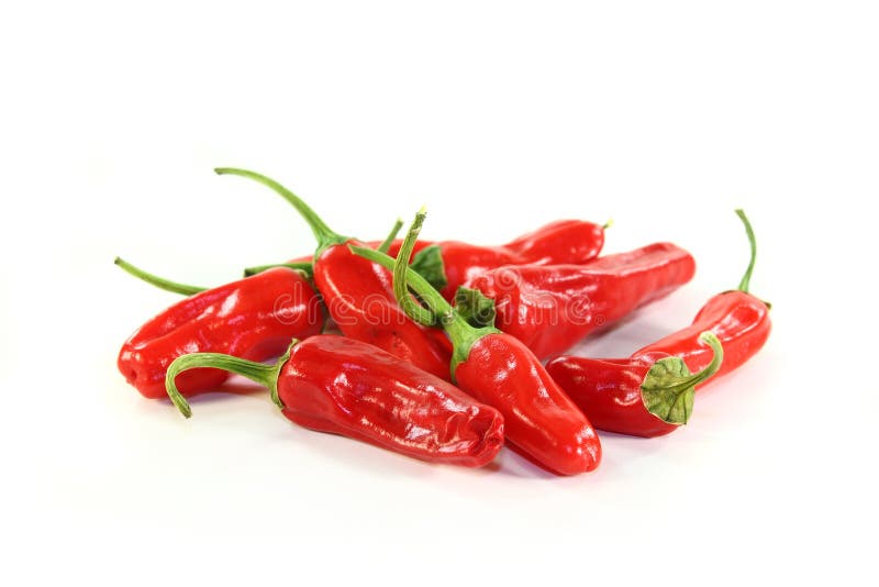 Spice paprika stock photo. Image of harvest, ingredient 20549686