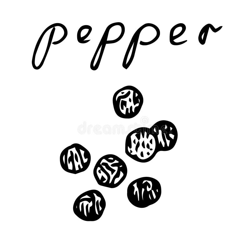 Spice Set, Vector Illustration, Black Pepper, Hand Drawing Stock