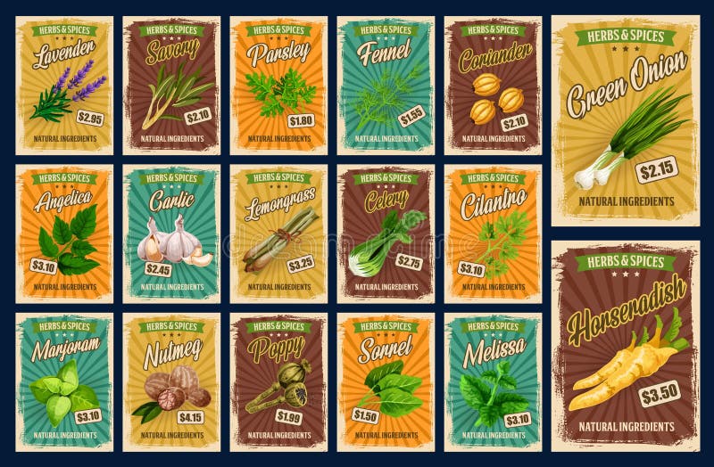 https://thumbs.dreamstime.com/b/spices-herb-seasonings-farm-market-price-spices-farm-market-herb-seasonings-organic-food-condiments-price-cards-vector-166926961.jpg