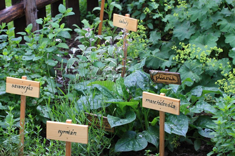 Herb Garden Signs Herbs Stock Photos Download 13 Royalty Free Photos