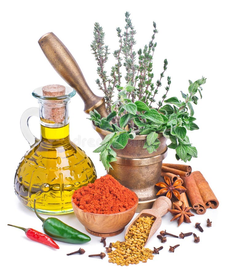 Spices and Herbs Isolated on White Stock Image Image of herbs