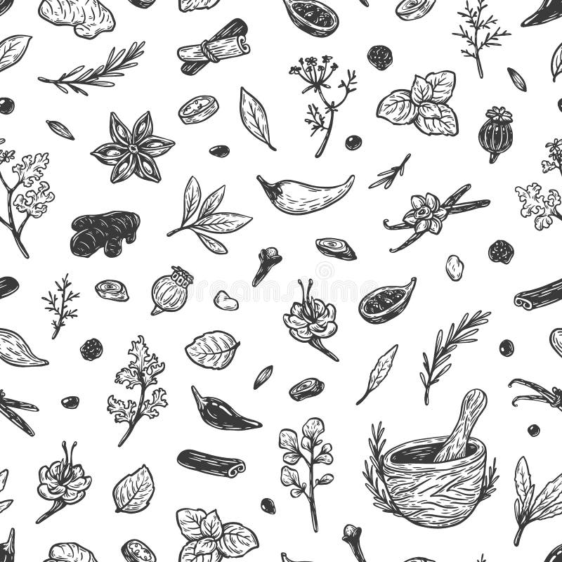 Spices & Herbs, Pattern. stock vector. Illustration of mustard 85175441