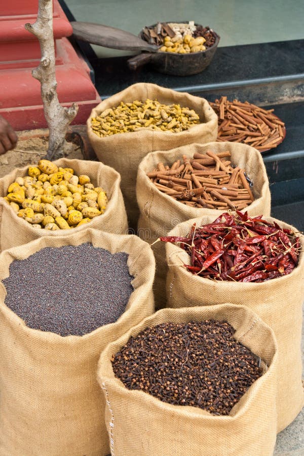 Spices in Kerala, India stock image. Image of cinnamon 24993833