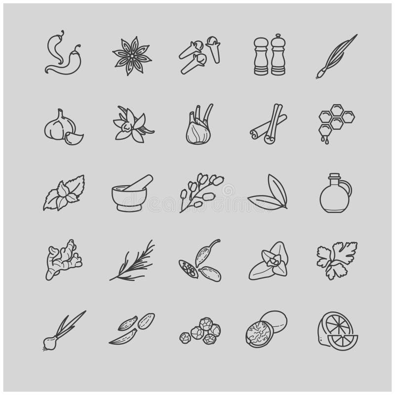 Spices and seasonings line icons