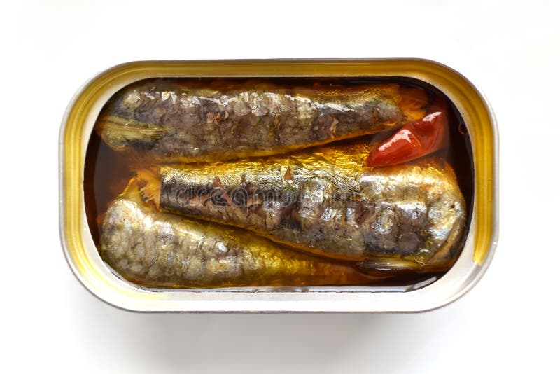 Spicy Canned Sardines on the Table. Stock Photo Image of diet