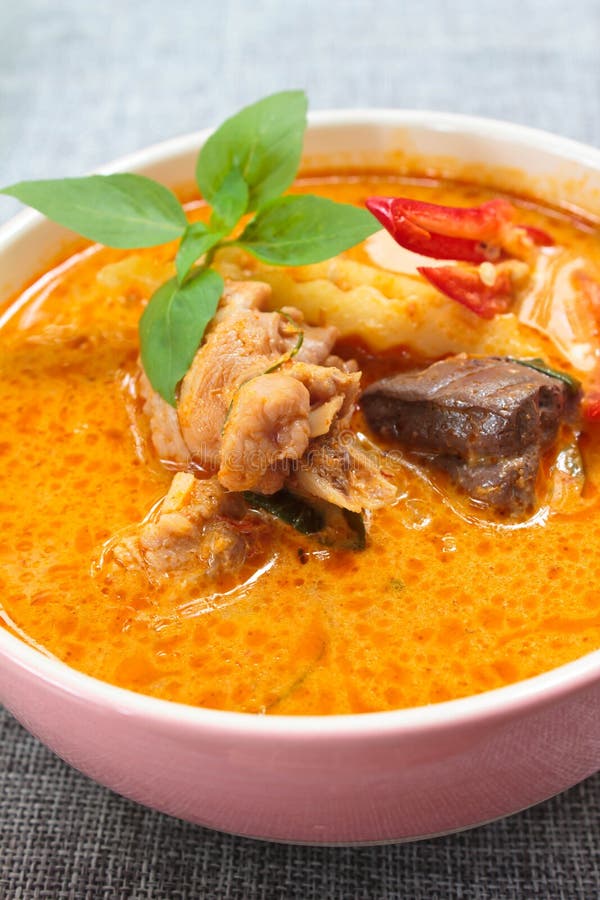 Spicy Chicken Curry with Bamboo Shoots. Stock Image Image of herbs