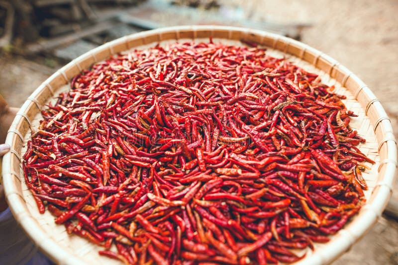 Spicy ChiliBright Red Dried Chillies Stock Photo Image of chilli