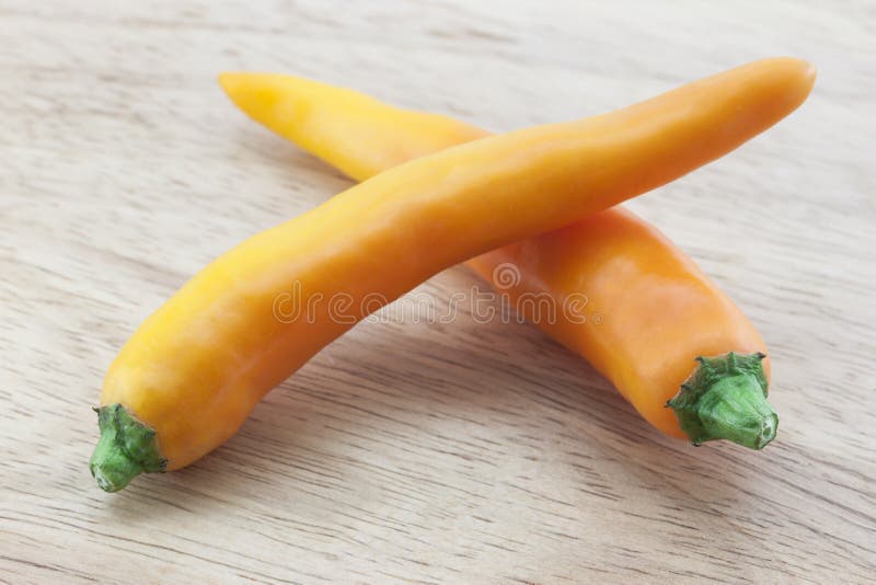 Spicy chilies stock images