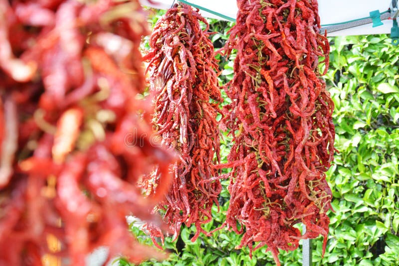 Spicy Chilli Pepper Groups at the Market Stock Image Image of chilli, menu 69363115