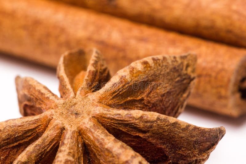 Spicy Cinnamon Sticks and Anise on White background closeup macro shot