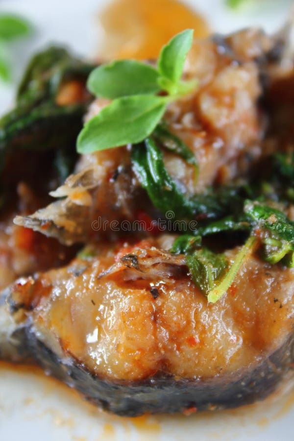 Spicy Fried Catfish with Basil Food in Thai Stock Image Image of