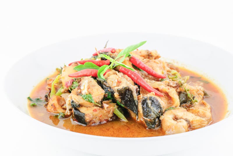 Spicy Fried Stir Catfish stock image. Image of food, pepper 56727755