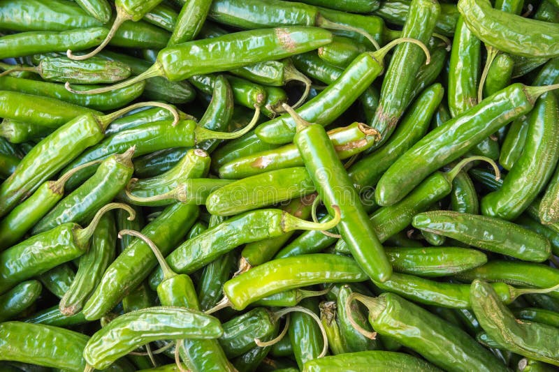 Green hot chili peppers stock image. Image of heat, plant 185250605