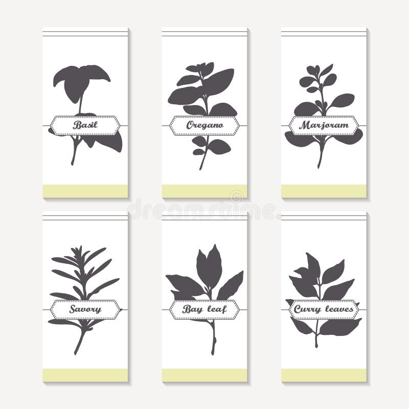 Spicy herbs silhouettes collection. Hand drawn basil, oregano, thyme, majorana, savory, bay leaf, curry