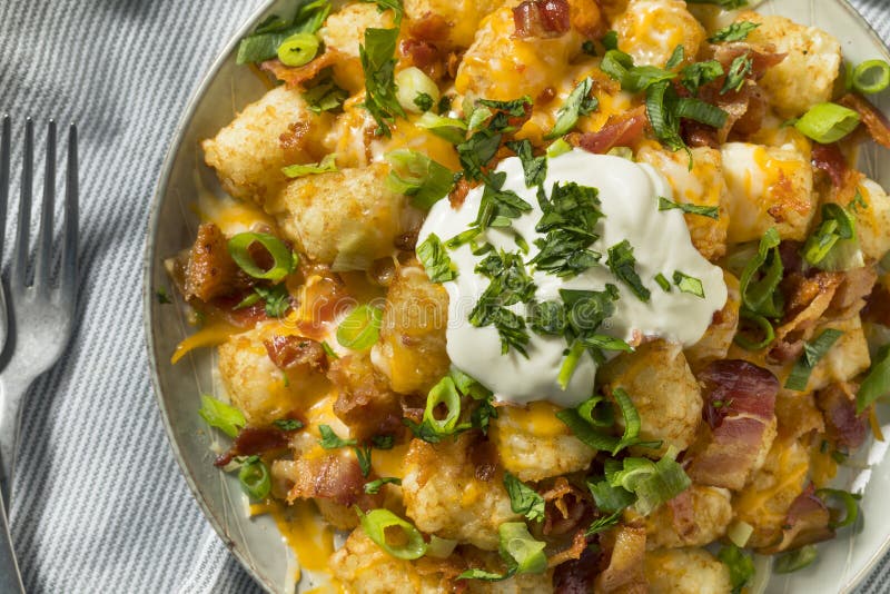 Spicy Homemade Loaded Taters Tots Stock Photo - Image of appetizer ...