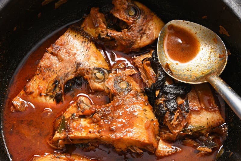 Spicy Hot Fish Curry from Kerala India Stock Photo - Image of malaysia