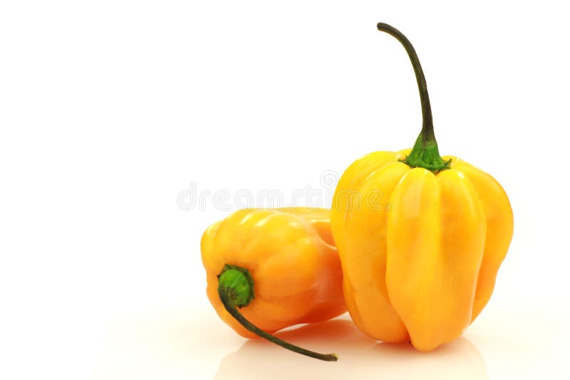 Cut Red Hot Chili Pepper (Capsicum) Stock Image Image of eating, nature 17841729