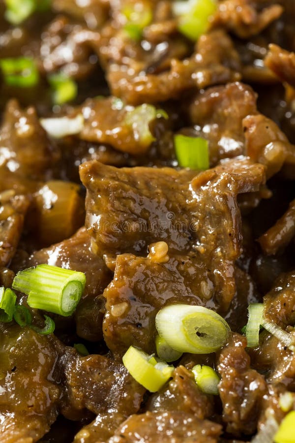 Spicy Korean Beef Bulgogi stock image. Image of lunch - 315271527