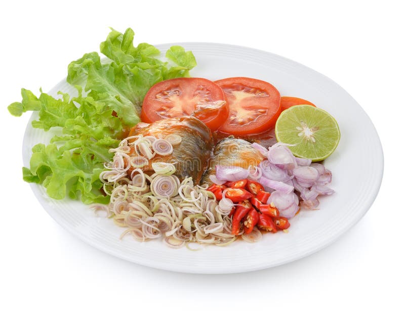 Spicy Sardines in Tomato Sauce,canned Fish Stock Image Image of