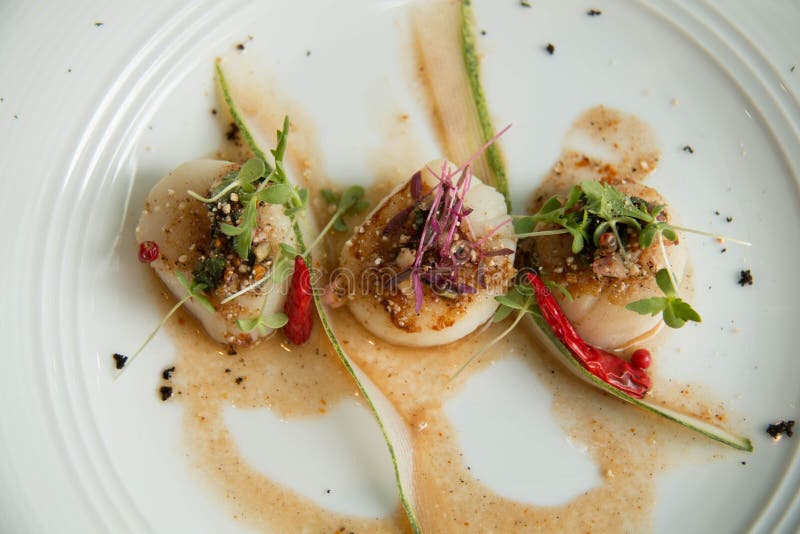 Lab Scallop Stock Photos Free & RoyaltyFree Stock Photos from Dreamstime