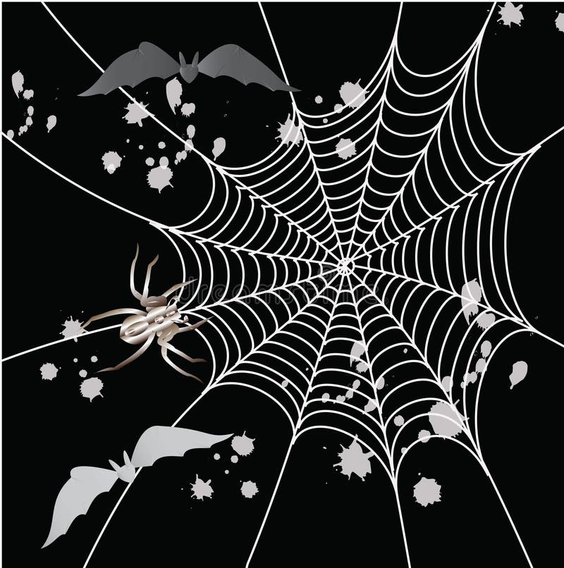 Spider on a black background