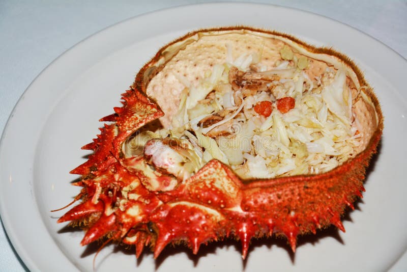 Spider crab food stock image. Image of plate, restaurant 80530059