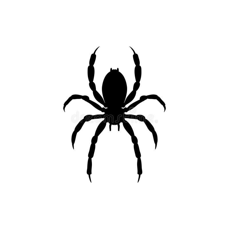 Black Widow Spider Stock Illustrations – 4,229 Black Widow Spider Stock  Illustrations, Vectors & Clipart - Dreamstime