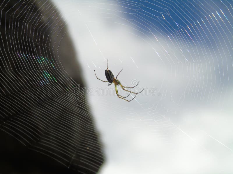 An spider road to Machu Pichu stock images An spider road to Machu Pichu stock images
