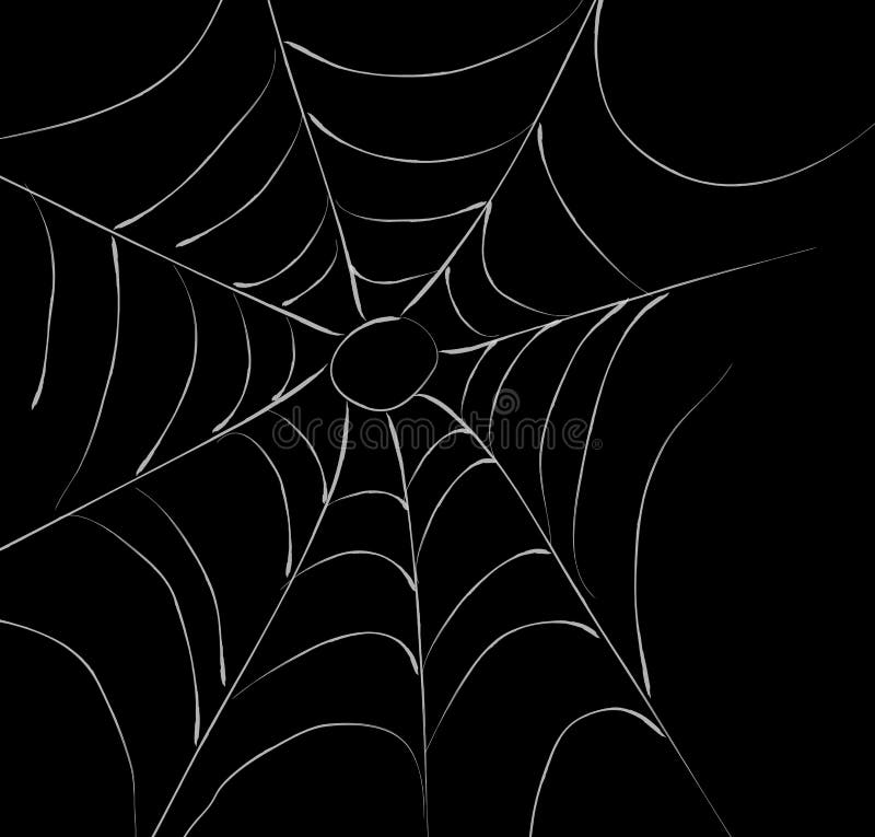 Spider s Web