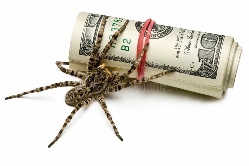 Spider stand guard of cash isolated on white royalty free stock photos