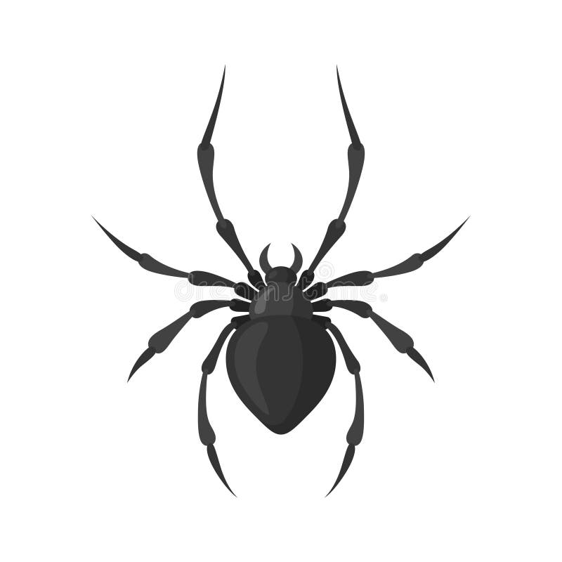 Spider vector illustration in a flat style